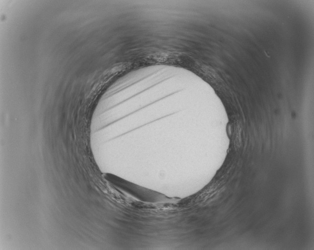 X0000053091105200508081303