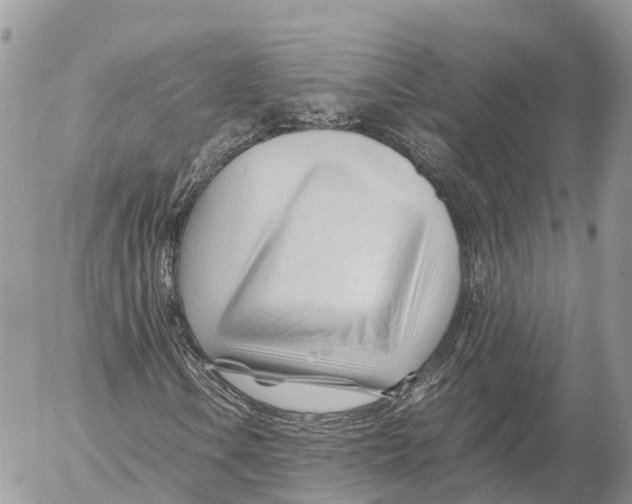 X0000053091106200508081303