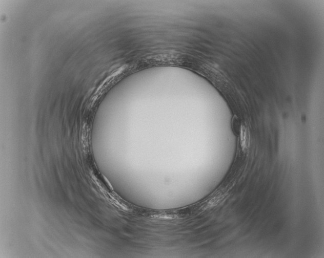 X0000053091107200508081303