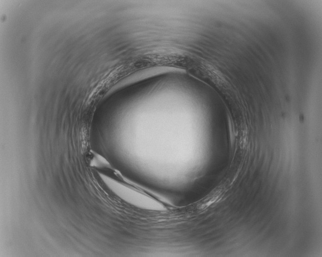 X0000053091108200508081303