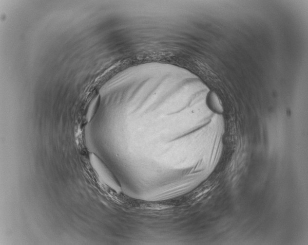 X0000053091109200508081303