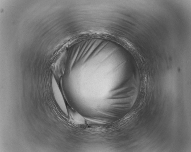 X0000053091110200508081303