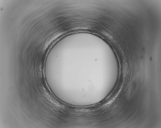 X0000053091113200508081303