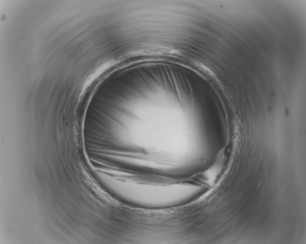 X0000053091114200508081303