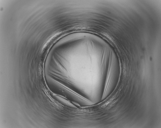 X0000053091115200508081304