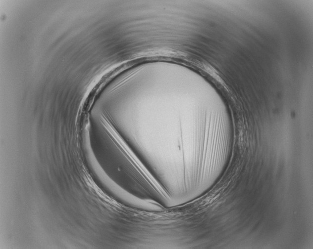 X0000053091116200508081304