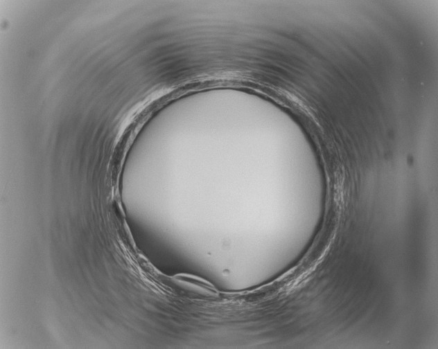 X0000053091117200508081304