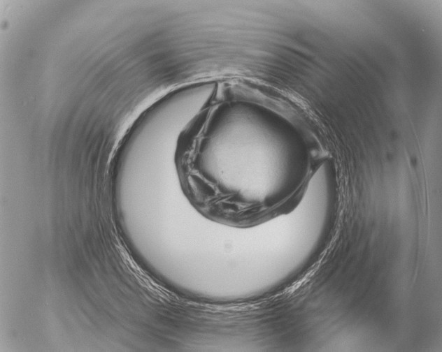 X0000053091118200508081304