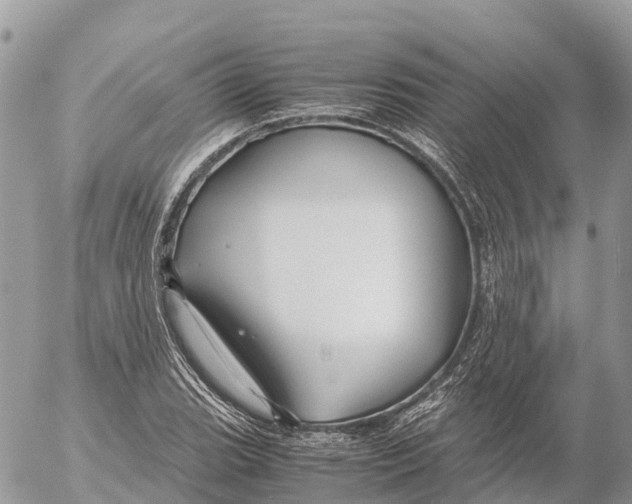 X0000053091119200508081304