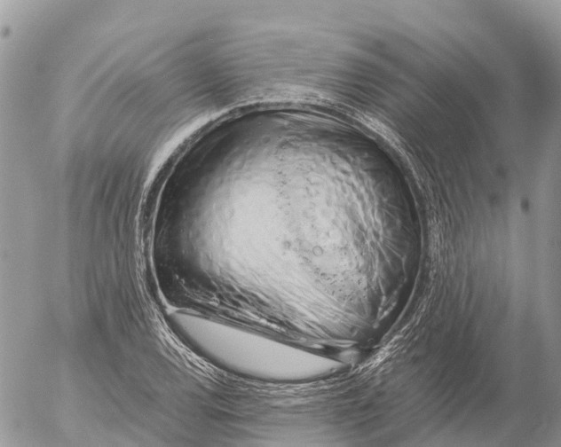 X0000053091120200508081304