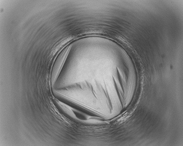 X0000053091121200508081304