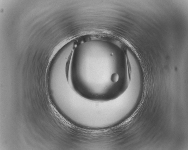 X0000053091122200508081304