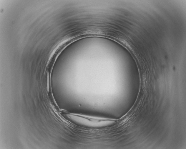 X0000053091123200508081304