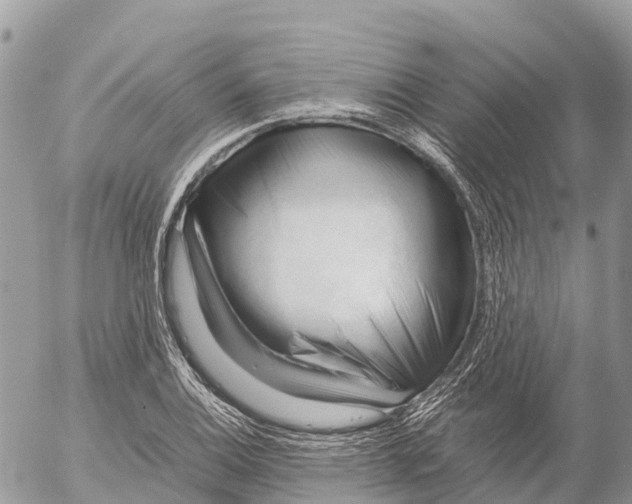 X0000053091124200508081304