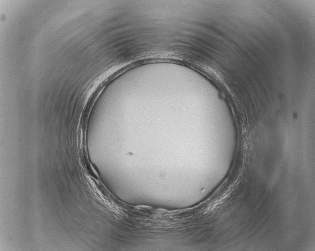 X0000053091125200508081304