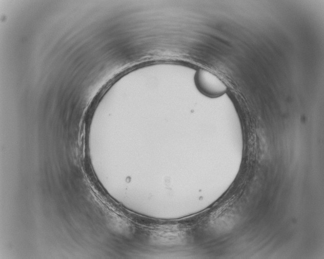 X0000053091126200508081304