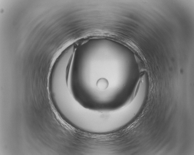 X0000053091128200508081304