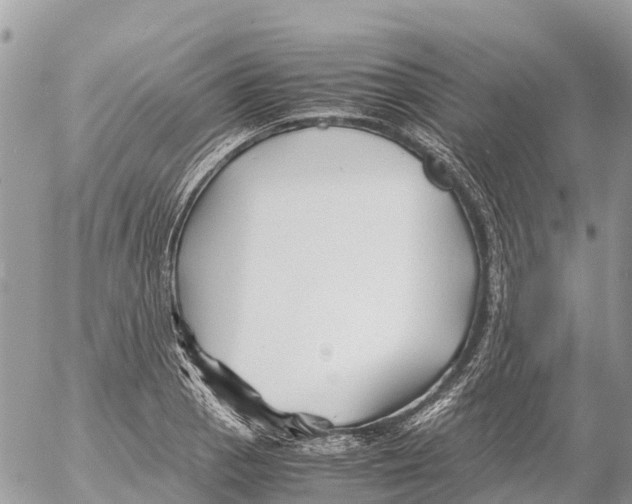 X0000053091129200508081304