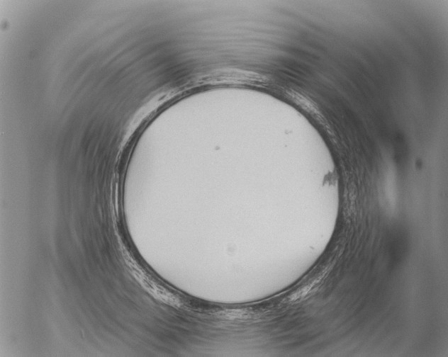 X0000053091130200508081304