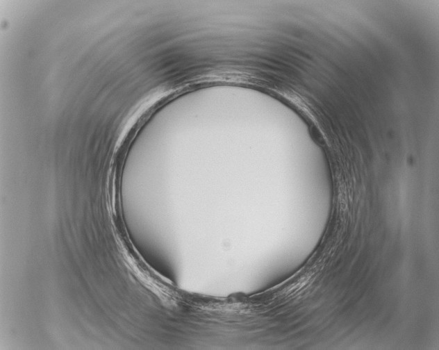 X0000053091131200508081304