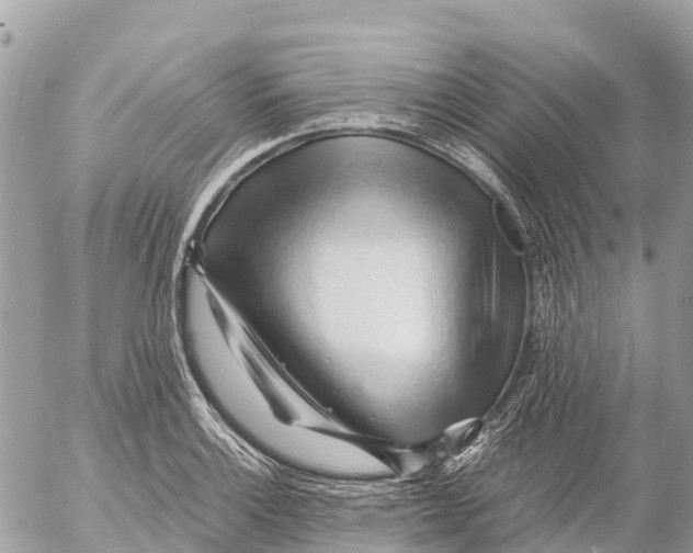 X0000053091132200508081304