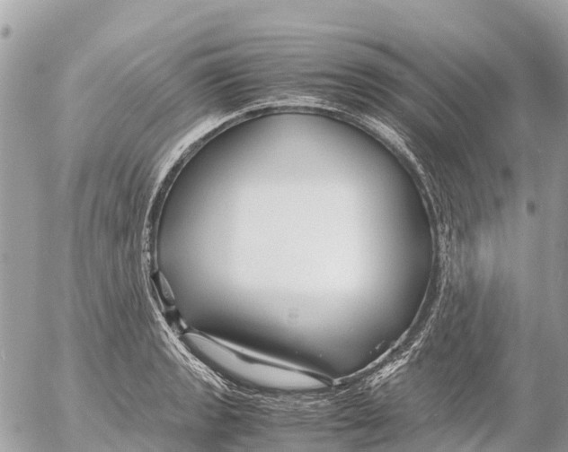 X0000053091133200508081304