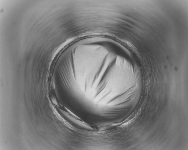 X0000053091134200508081304