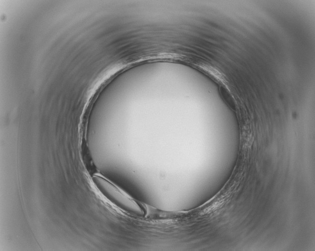 X0000053091135200508081304