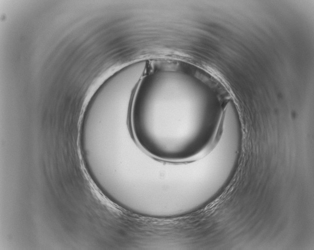 X0000053091136200508081304