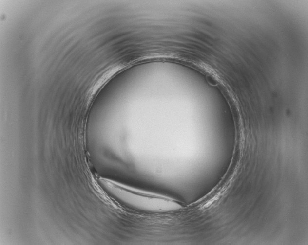 X0000053091137200508081304