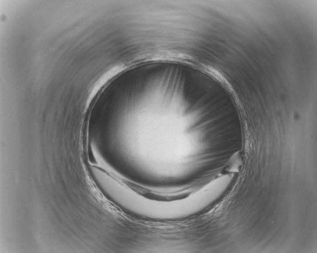 X0000053091138200508081304