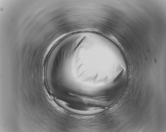 X0000053091140200508081304