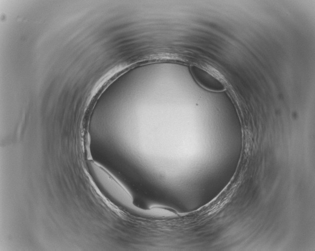 X0000053091141200508081304