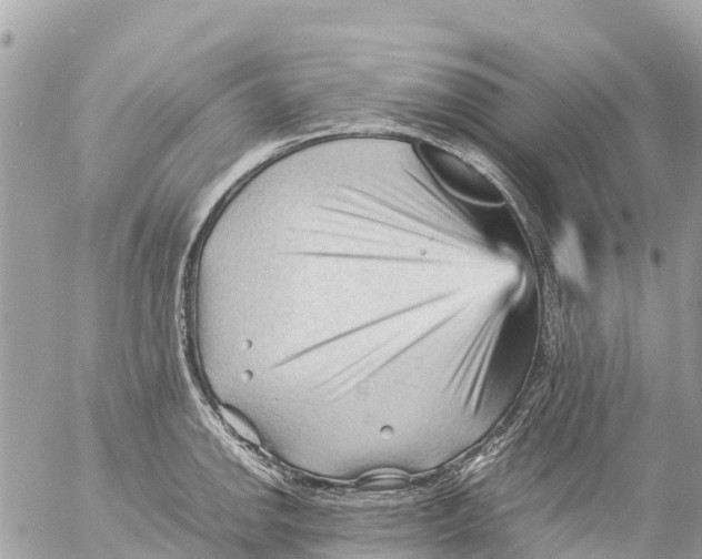 X0000053091142200508081304