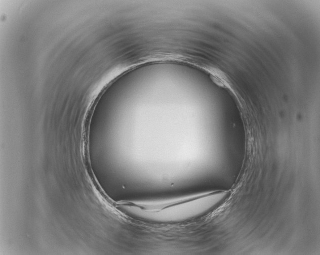 X0000053091143200508081304