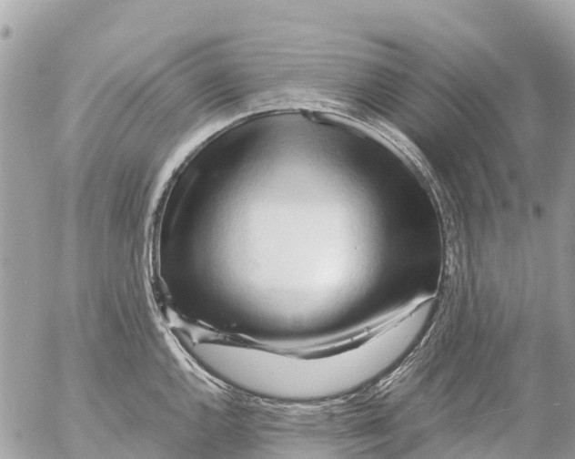 X0000053091144200508081304