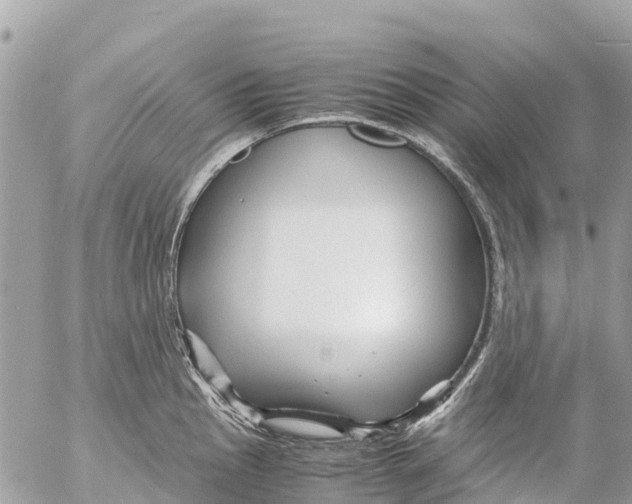 X0000053091145200508081304