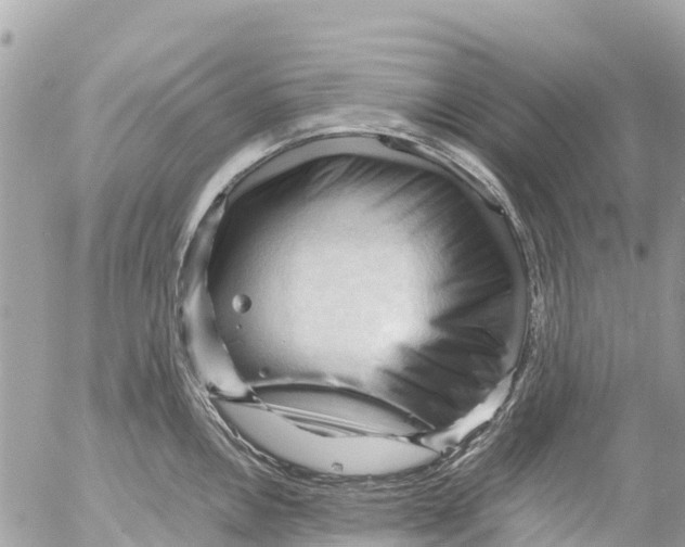 X0000053091146200508081304