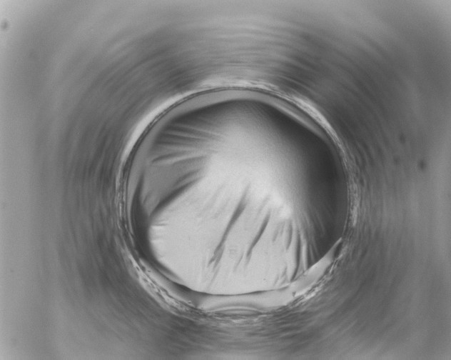 X0000053091148200508081304