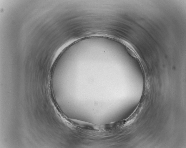 X0000053091149200508081304