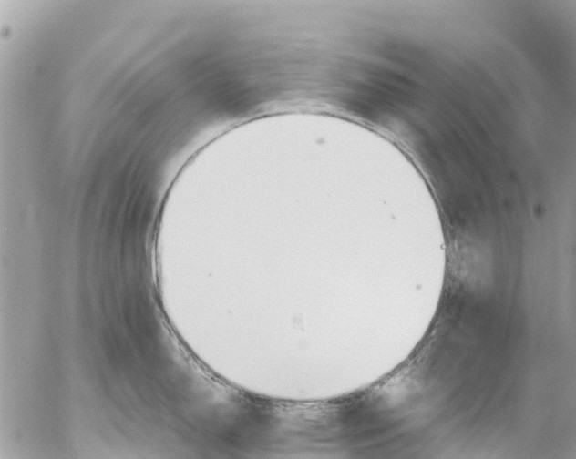 X0000053091150200508081304