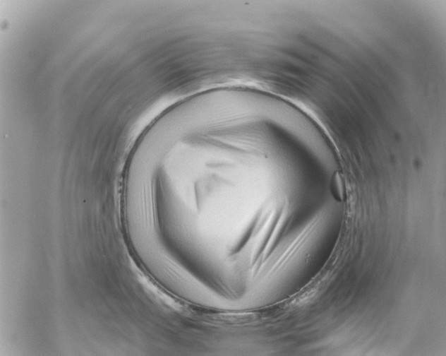 X0000053091151200508081304