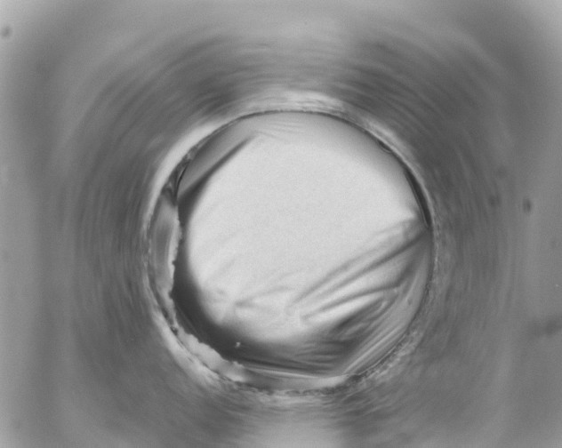 X0000053091152200508081304