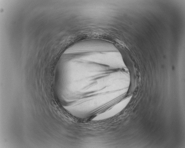 X0000053091153200508081303