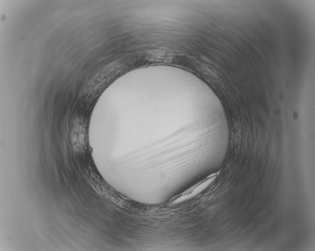 X0000053091154200508081303