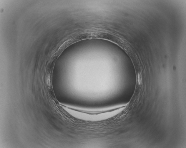 X0000053091155200508081303