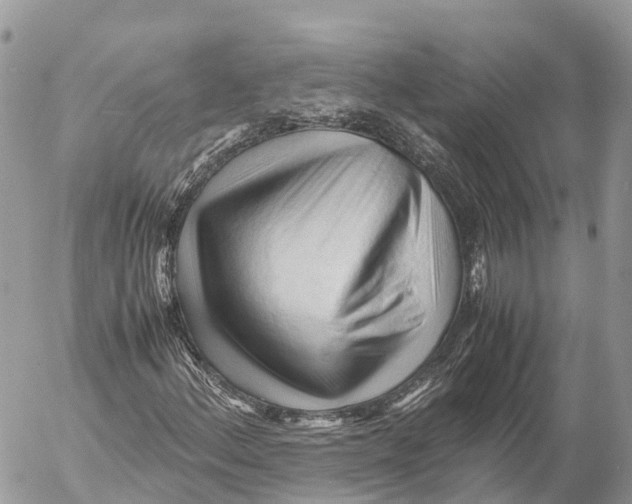 X0000053091156200508081303