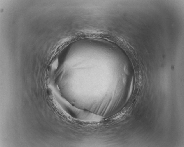 X0000053091157200508081303