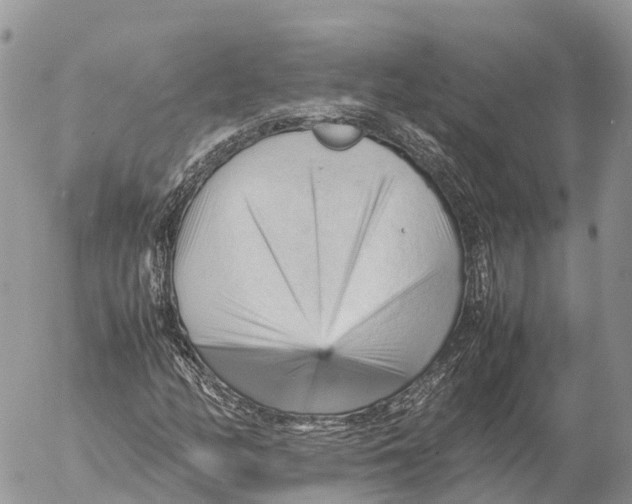 X0000053091158200508081303