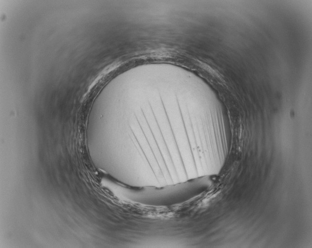 X0000053091160200508081303